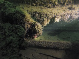 Дайверы нашли на дне Балтийского моря в районе Зеленоградска затонувшее судно (фото)