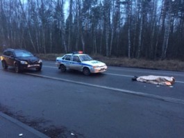 На балтийской трассе «Вольво» насмерть сбил 19-летнего пешехода (фото)