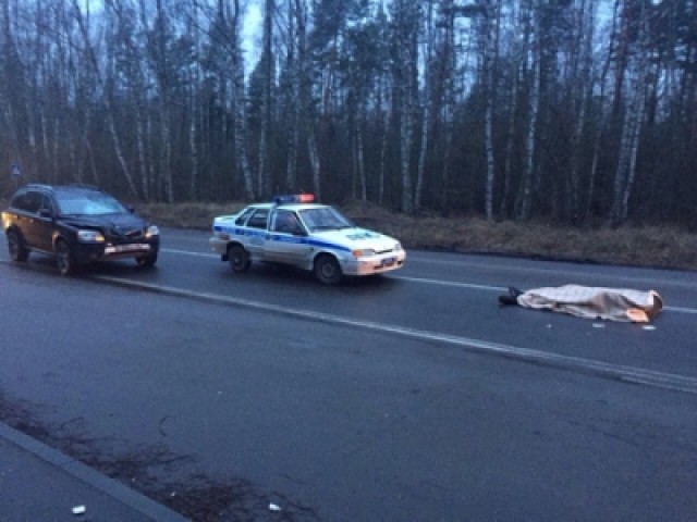На балтийской трассе «Вольво» насмерть сбил 19-летнего пешехода (фото)
