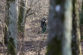 В Калининградской области охотникам разрешили убить 54 волка