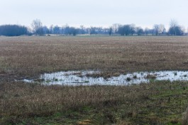 В Славском округе водитель утонул в болоте вместе с трактором