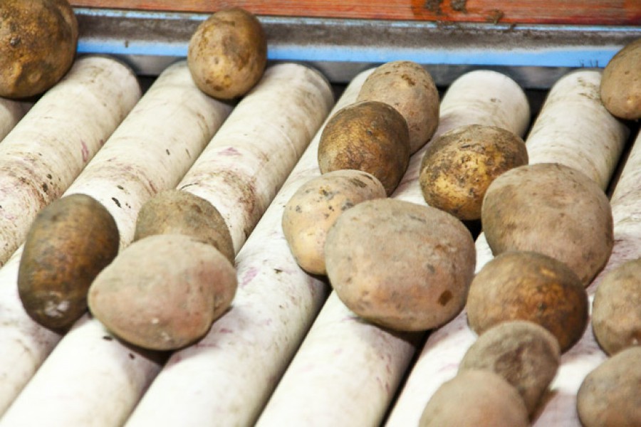 Зарудный хочет выращивать картофель при школах для снижения стоимости обедов