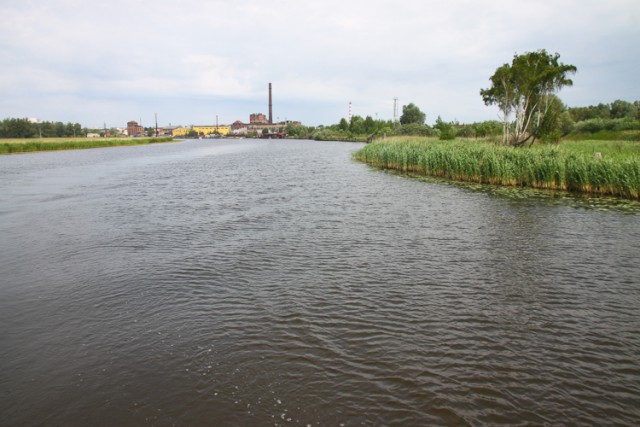 В районе завода «Цепрусс» в Калининграде выявили превышение вредных веществ в воздухе