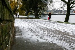 Cиноптики прогнозируют снег с дождём и до +3°С в выходные в Калининградской области