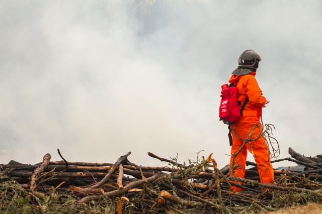 СМИ: Литовец поджигал лес на Куршской косе для удовольствия