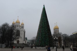 На площади Победы в Калининграде начался монтаж новогодней ёлки