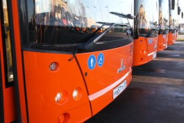 В Калининграде отменили два невостребованных рейса к рельсобусам 