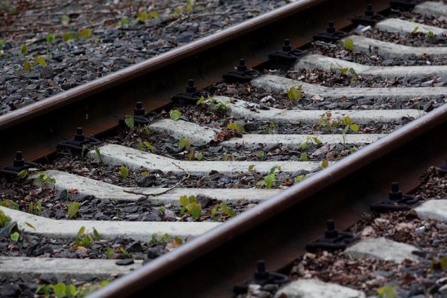 На перегоне Знаменск — Междуречье поезд насмерть сбил мужчину 