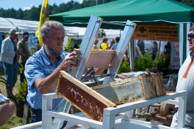 Власти: На долю региона приходится треть всего мёда, который производят в СЗФО