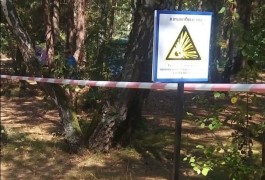 В Балтийске неизвестные украли более 20 табличек, предупреждающих о взрывоопасных предметах
