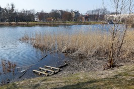Алиханов: Летнее озеро в Калининграде может очень сильно обмелеть после прошедшей реконструкции