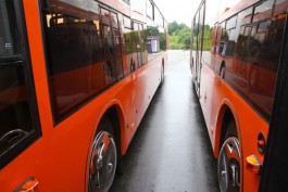 Из-за матча «Балтика» — ЦСКА в Калининграде продлят работу общественного транспорта