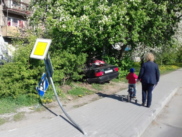 В Калининграде «Ауди» врезалась в дорожный знак и вылетела в кусты (фото)