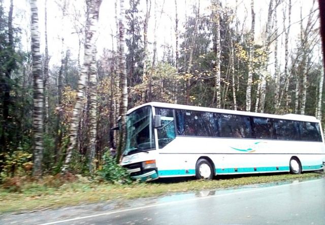 На трассе Калининград — Балтийск автобус с пассажирами въехал в дерево