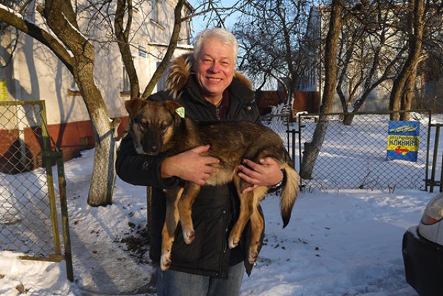 «Бирку на ухо»: отловленных собак и кошек будут стерилизовать и возвращать на улицы Калининграда
