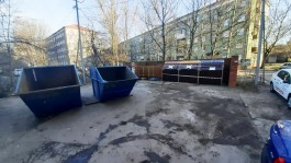 Минприроды: Система раздельного сбора мусора в Калининграде должна заработать к концу января