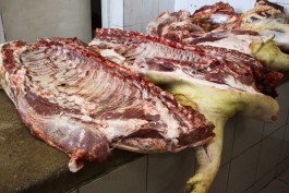 Жительница региона пыталась ввезти из Польши 400 кг запрёщенного мяса