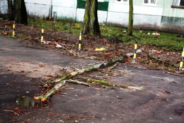 Ночью под Ладушкиным, пытаясь расчистить проезд, погибла 20-летняя девушка