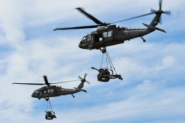 Литва за 300 миллионов евро купит у США шесть вертолётов Black Hawk