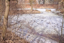 МЧС предупреждает жителей области о крайней опасности выхода на лёд