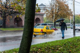 Синоптики прогнозируют до +19°С и дожди на рабочей неделе в Калининградской области