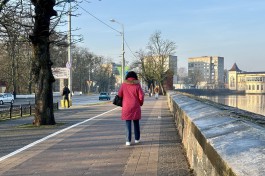 Калининградцам обещают солнце и +5°С в праздничные выходные