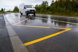 Ночной ураган повалил на дороги Калининградской области 63 дерева