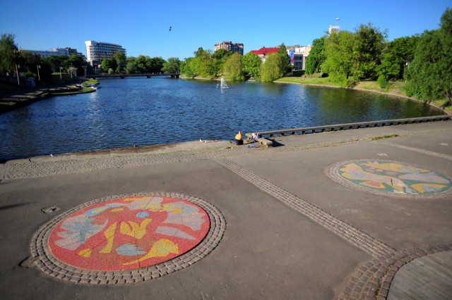 Роспотребнадзор выдал предписание мэрии Калининграда из-за клещей на Нижнем озере