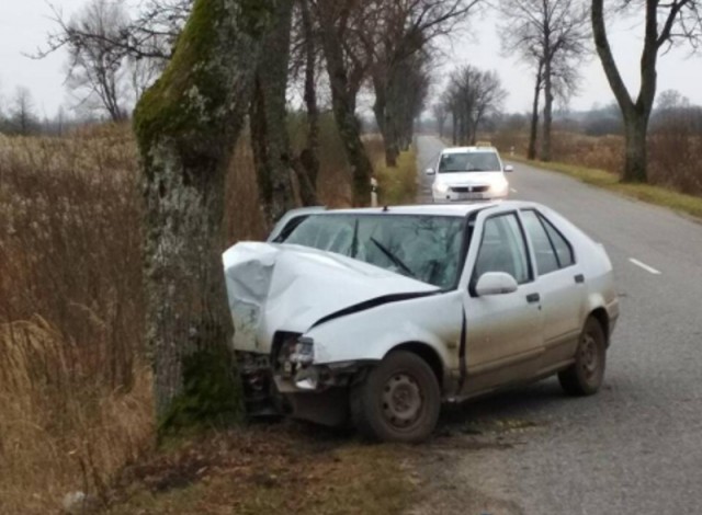 Под Черняховском «Рено» врезался в дерево: пострадал водитель