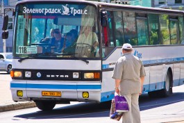 Под Калининградом водитель автобуса «Зеленоградск-Транс» переехал упавшего пешехода