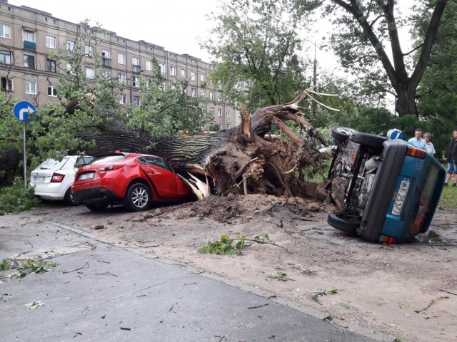 Во время бури в Польше пострадало шесть человек (фото)