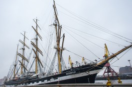 В субботу калининградцы смогут подняться на борт «Крузенштерна» (фото)
