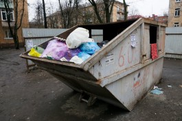 Хряпченко: Калининградские перевозчики не хотят проводить санобработку и мыть мусорные контейнеры