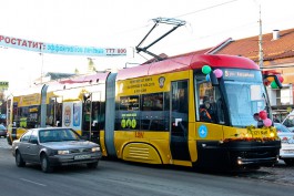 «Новый трамвай против «козлов» и «дятлов»: репортаж Калининград.Ru (фото, видео)