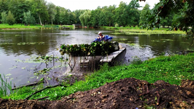 В Зеленоградске начали чистить озеро в городском парке