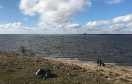 Рядом с Прибрежным обнаружили тело женщины на берегу Калининградского залива