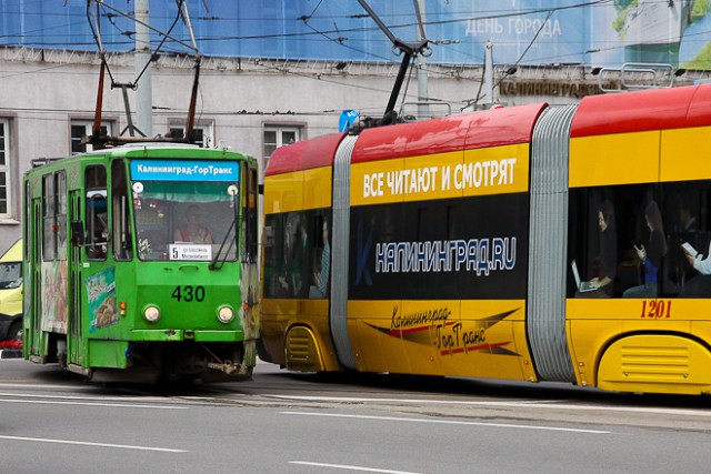 «„Метелица” против PESA»: власти присмотрели новые трамваи для Калининграда
