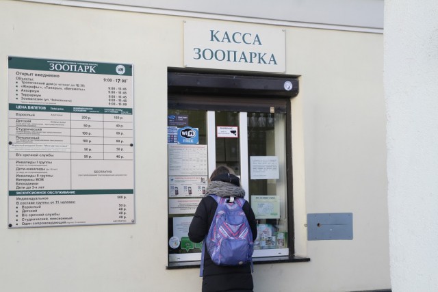 В Калининграде из-за непогоды закрыли зоопарк