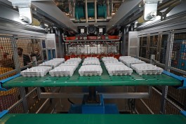 «На экспорт»: в регионе запустили вторую линию производства литой бумажной тары