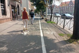 «Разделили город»: главные вопросы о велосипедной разметке на тротуарах в Калининграде