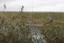 Калининградские водоёмы начали очищать от сухого тростника с помощью машины-амфибии