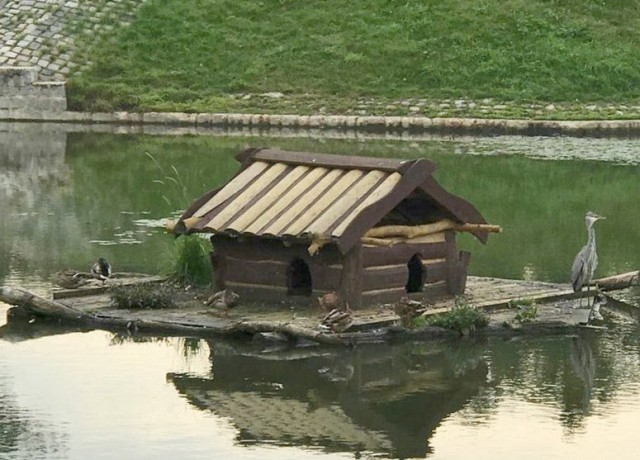 «Заходи к нам жить»: на озере Поплавок в домик к уткам подселилась серая цапля