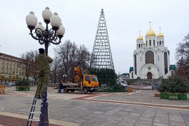 На площади Победы в Калининграде разбирают новогоднюю ёлку (фото)