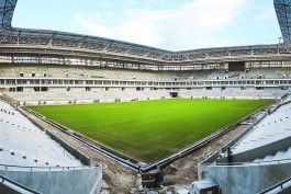 На поле стадиона к ЧМ-2018 в Калининграде взошла трава (фото)