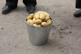 Губернатор пообещал отдать фермерам для хранения овощей военные ангары в Гусевском районе