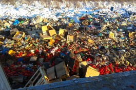 На полигоне в Калининградской области уничтожили более 20 тонн овощей и фруктов  (фото)