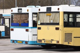 Автобусные гонки на улицах Калининграда продолжаются