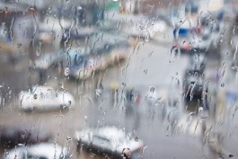 «Дождь» в калининградских автобусах