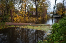В Горсовете предложили пожаловаться областному прокурору на неочищенные реки Калининграда