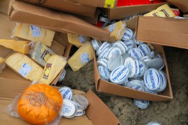 На полигоне в Калининградской области уничтожили более пяти тонн сыров и сливочного масла (видео)
